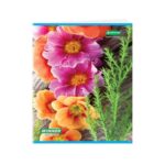sundaram book, sundaram drawing book, sundaram note book, sundaram office stationery, sundaram school paper stationery, Sundaram long book, sundaram sketch book, drawing book, note book, office stationery, school paper stationery, long book, sketch book